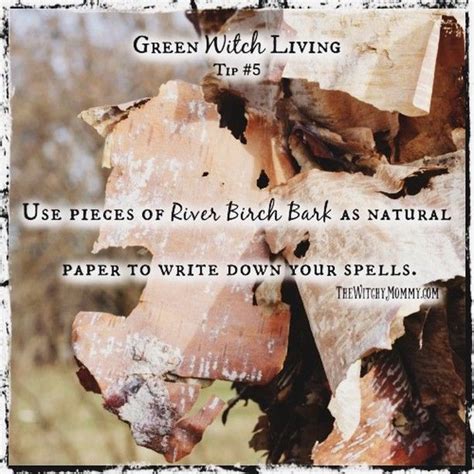 The Protective Qualities of Bark in Witchcraft Spells